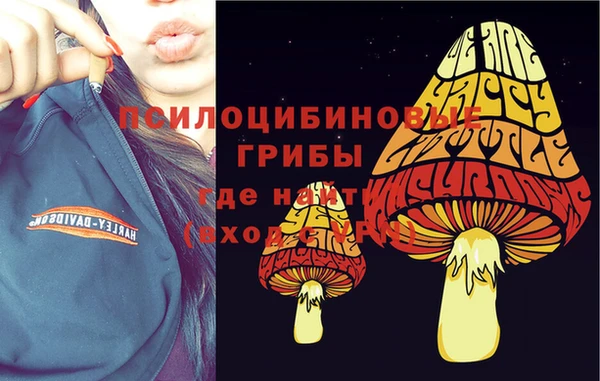сатива Баксан