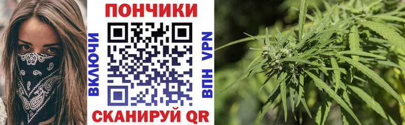 Бошки марихуана гибрид  хочу наркоту  Кыштым 
